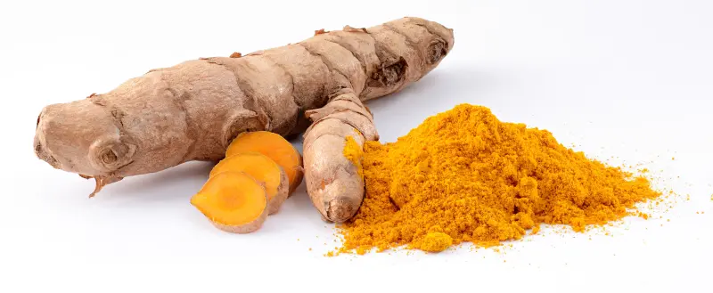 Turmeric (Curcuma longa)